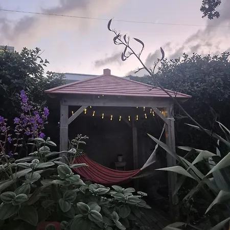 Pés Verdes-alojamento E Chá * Ponta Delgada