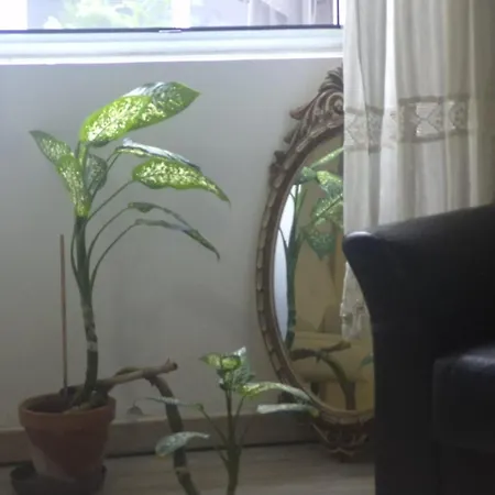 Pés Verdes-alojamento E Chá Hostal *