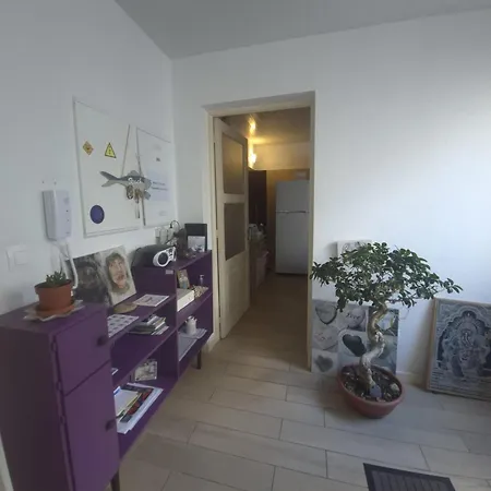 Pes Verdes-alojamento E Cha Хостел Понта-Делгада