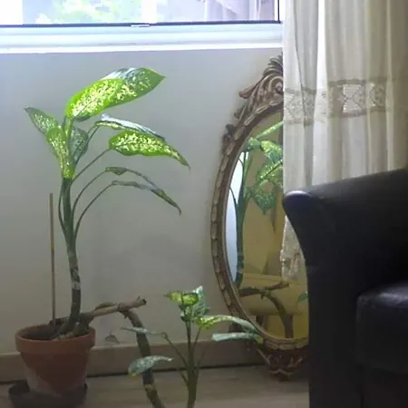 Pés Verdes-alojamento E Chá Hostal