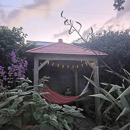 Pés Verdes-alojamento E Chá Hostal Ponta Delgada