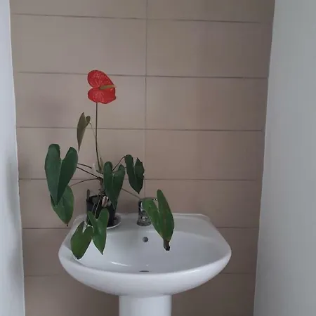 Pés Verdes-alojamento E Chá Hostal *