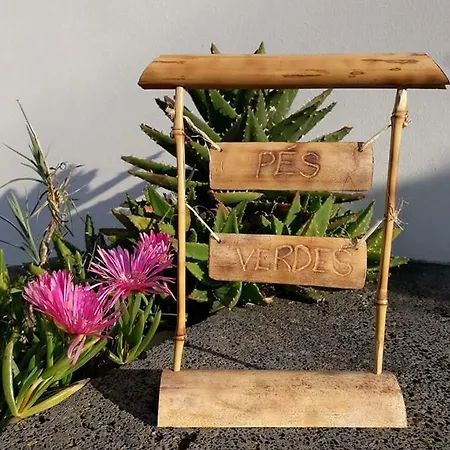 Pés Verdes-alojamento E Chá Hostal Ponta Delgada