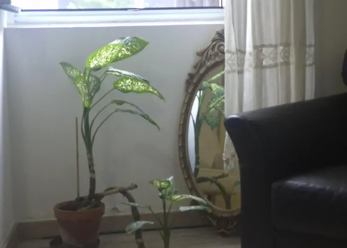 Pes Verdes-alojamento E Cha Hostel *