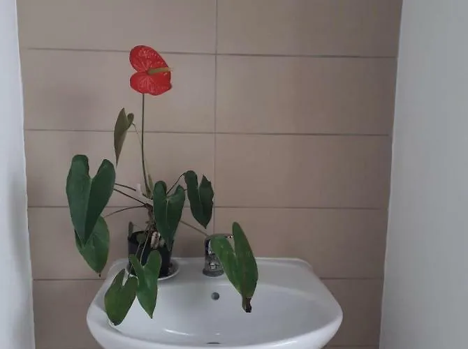 Pes Verdes-alojamento E Cha Hostel *