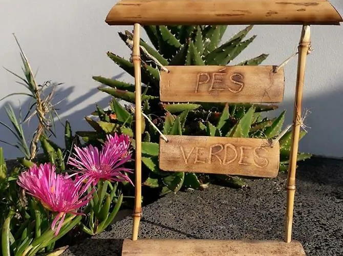 Pes Verdes-alojamento E Cha Hostel Ponta Delgada