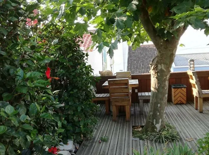 Hostel Pes Verdes-alojamento E Cha